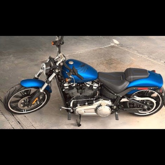 Meet your Posher, Curtis - Picture 1 of 1